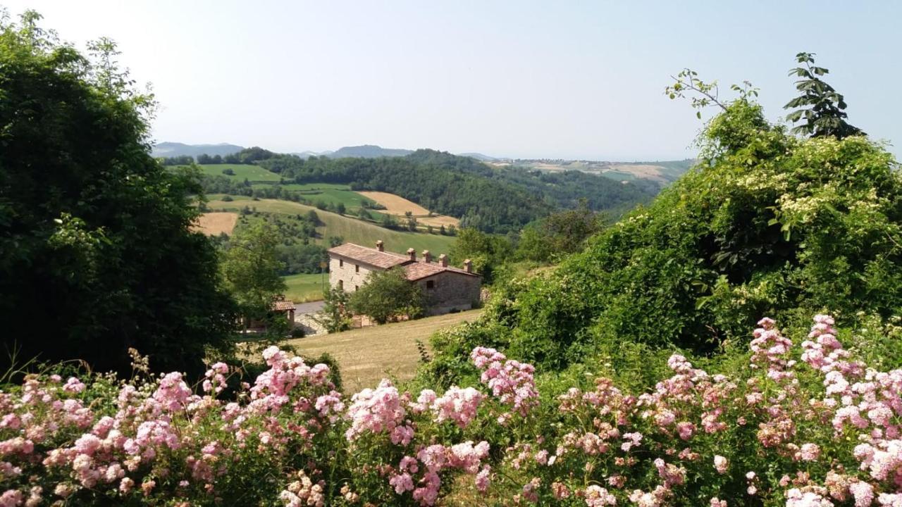 Ca' Noeva Bed and Breakfast Valverde  Buitenkant foto