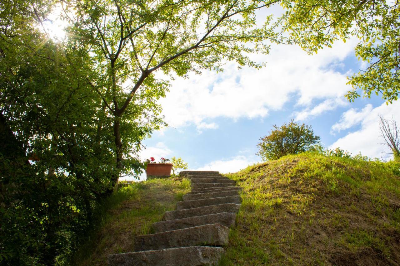 Ca' Noeva Bed and Breakfast Valverde  Buitenkant foto